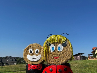 Img