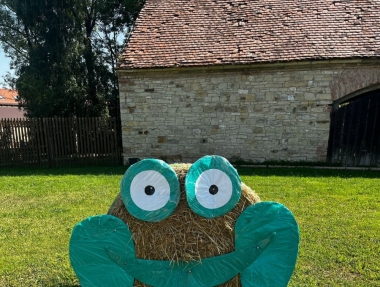 Img